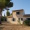 le Gecko en Provence