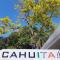 Hotel Cahuita Inn