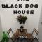 The black dog house