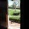 Agriturismo IL CASTAGNETO