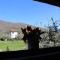Agriturismo IL CASTAGNETO