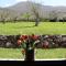 Agriturismo IL CASTAGNETO