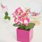 Loft Orchidee 2 - 于伯林根