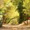 Camping la Peiriere - Lodge en Pays Cathare