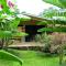 Pura Vida Hotel