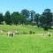 St Ives Midlands - Lidgetton