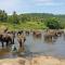 Hotel Elephant Park - NEW DEAL! Exclusive Offers on Pickups Available!