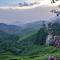 Munnar Pavithra Riverview Homestay - Munnar