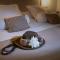 Hostal Boutique Plaza Cantarero