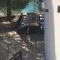 House Kupina