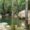 Daintree Secrets Rainforest Sanctuary