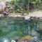 Daintree Secrets Rainforest Sanctuary