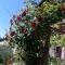 Apartman Sucuraj