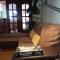 Hostel Nature