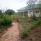 The Elephant Home