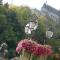 Logis Hotel-Restaurant Petry - Vianden