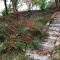 Foto: Cozy cottage in countryside close to Tbilisi 13/20