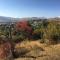 Foto: Cozy cottage in countryside close to Tbilisi 12/20