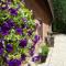 Bed & Breakfast aan de Beek
