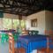 The Elephant Home