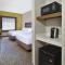 Holiday Inn Express Hotel & Suites Alcoa Knoxville Airport, an IHG Hotel - Alcoa