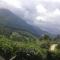 Munnar Pavithra Riverview Homestay - Munnar