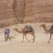 Foto: Wadi Rum Nabatean Camp 40/59