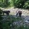 Relax totale nel Bosco Lucca