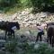 Relax totale nel Bosco Lucca