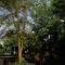 Big 5 Guest House Witbank