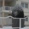 Apartman Venus