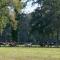 Haras du Vignault - 萨勒布里