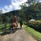 Foto: La Cabaña Ecohotel (River House) - Valle de Cocora 34/55