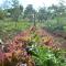 Eco Granja Don Lolo