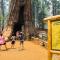 The Yosemite Inn - ماريبوسا