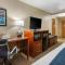 Comfort Inn Ocala Silver Springs