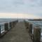 Dolphin view