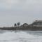 Dolphin view