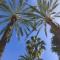 Vivaldi Boutique Suites Jardines del Mar