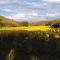 Ma caravane dans les collines - Villeneuve-la-Comptal