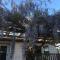 Wisteria Vine Cottage