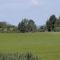 Holiday Home Klintebakkevej Millinge X