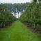 Hoeve Oude Tol