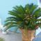 Hotel Spiros