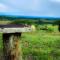 Mt Quincan Crater Retreat - Yungaburra