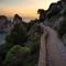 Fortino Capri