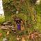 INGLEWOOD - Ballina - Crossmolina - County Mayo - Sleeps 8 - Sister property to Thistledown