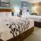 Sleep Inn & Suites - Rapid City