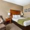 Comfort Inn & Suites Sacramento - University Area