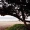 Marina Beach House